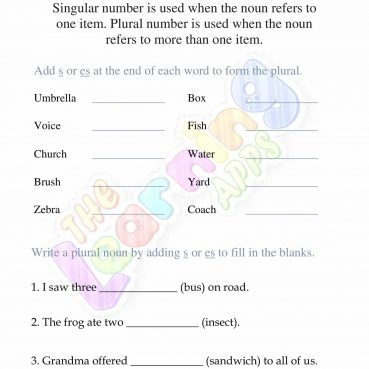 Noun Numbers 01 Noun Numbers 01