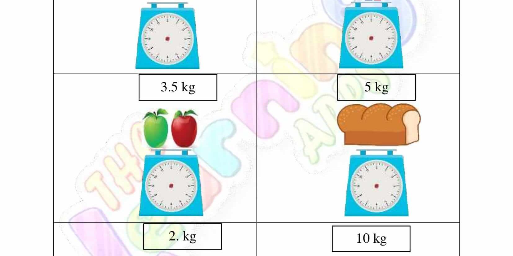 Measurement Worksheet - Grade 1 - Activity 2