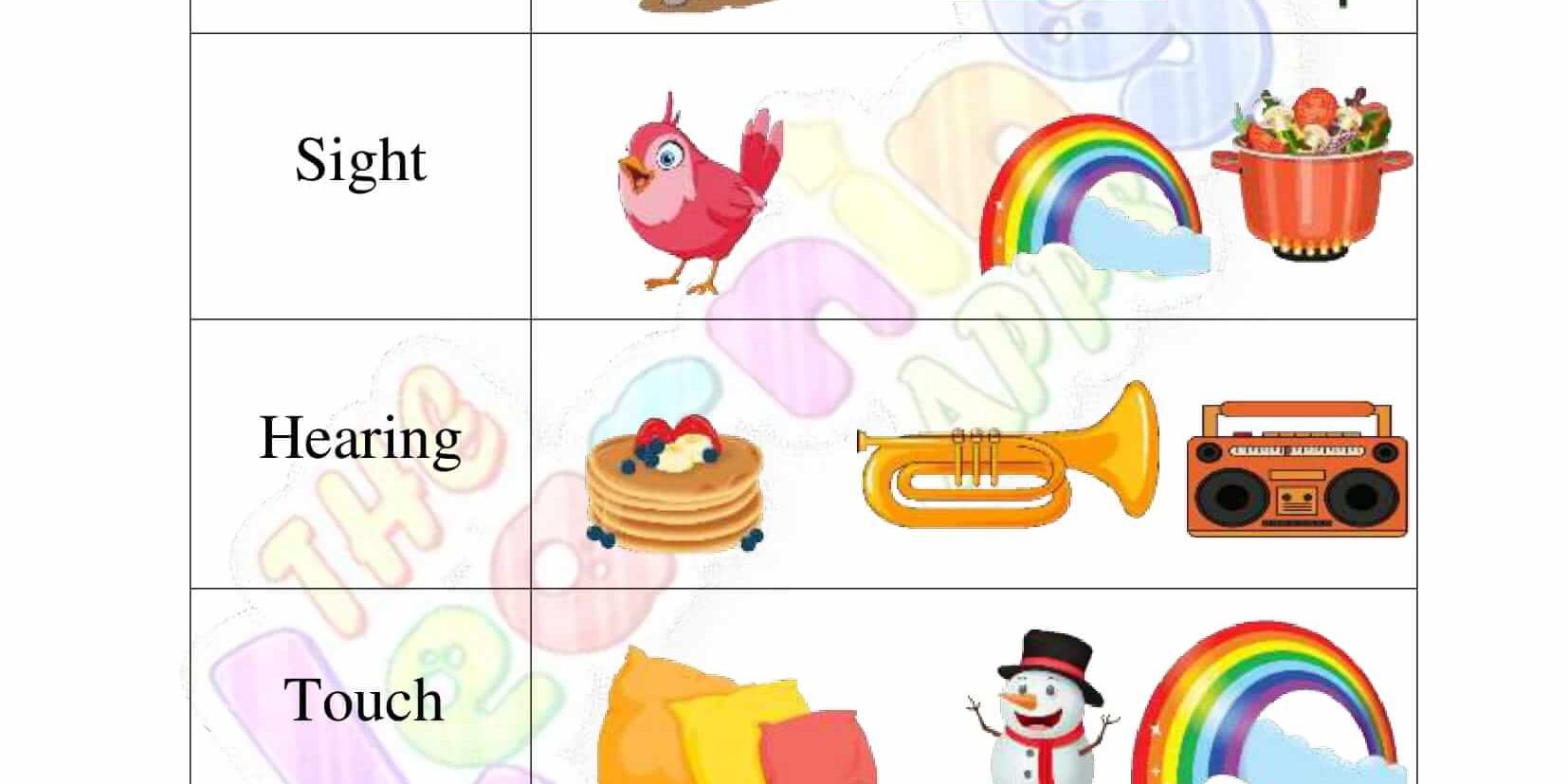 Senses Worksheet - Grade 2 - Activity 6