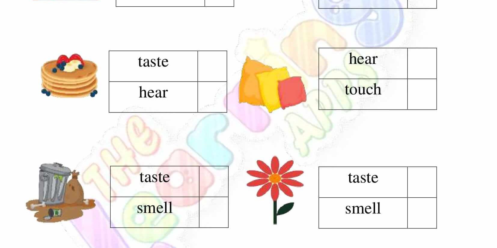 Senses Worksheet - Grade 2 - Activity 9