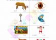 Homonyms-Worksheets-Grade-2-Activity-1