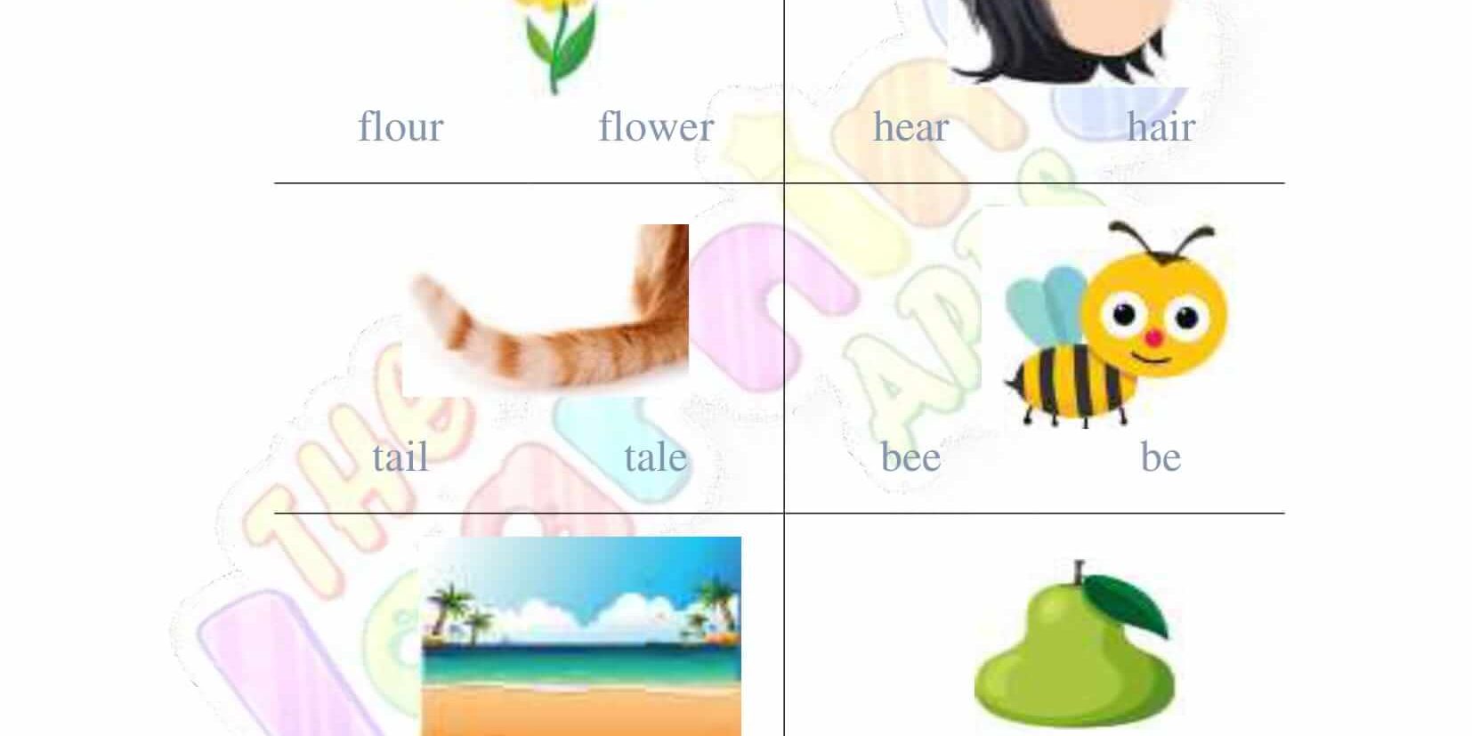 Homonyms-Worksheets-Grade-2-Activity-2