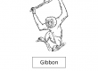 Gibbon