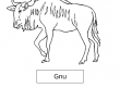 Gnu