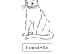 Iriomote Cat