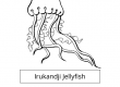 Irukandji Jellyfish