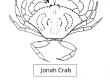 Jonah Crab