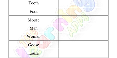 Singular-and-Plural Noun-Worksheets-Grade-3-Activity-8
