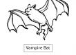 Vampire Bat