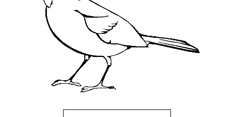 Yellow-Cardinal