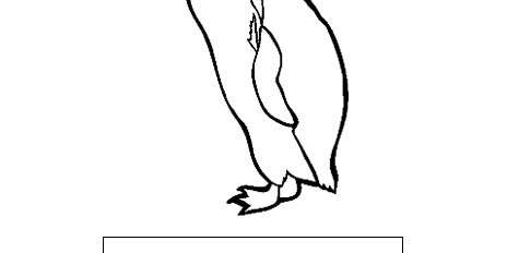 Yellow Eyed Penguin