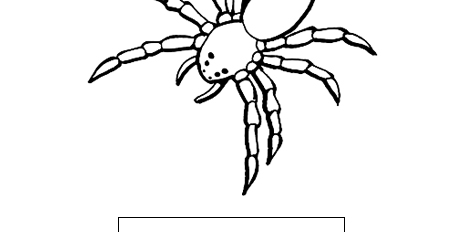 Yellow Sac Spider