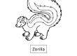 Zorilla
