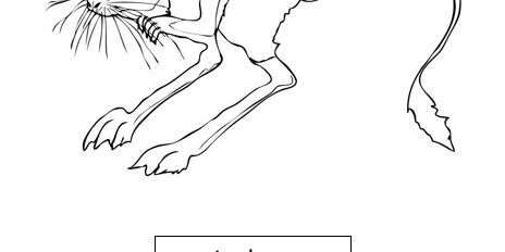 jerboa