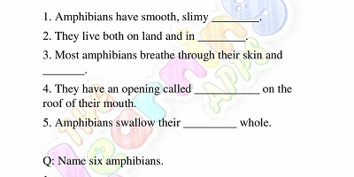 Amphibians-Worksheets-Grade-3-Activity-1