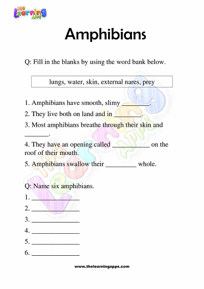 Amphibians-Worksheets-Grade-3-Activity-1