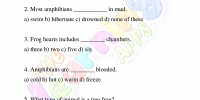 Amphibians-Worksheets-Grade-3-Activity-2
