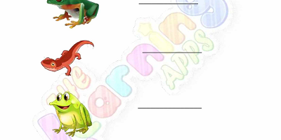 Amphibians-Worksheets-Grade-3-Activity-4