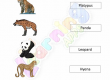 Carnivores-Worksheets-Grade-3-Activity-1