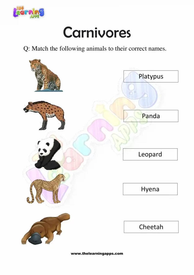 Carnivores-Worksheets-Grade-3-Activity-1