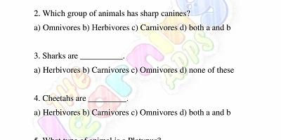 Carnivores-Worksheets-Grade-3-Activity-3
