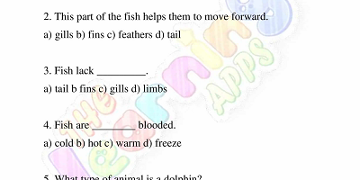 Fish-Worksheets-Grade-3-Activity-2