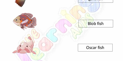 Fish-Worksheets-Grade-3-Activity-3