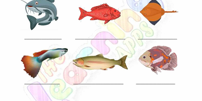 Fish-Worksheets-Grade-3-Activity-4