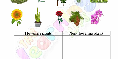 Flowering-and-Non-Flowering-Plants-Worksheets-Grade-3-Activity-1