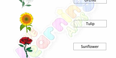 Flowering-and-Non-Flowering-Plants-Worksheets-Grade-3-Activity-2