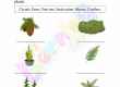 Flowering-and-Non-Flowering-Plants-Worksheets-Grade-3-Activity-4