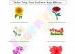 Flowering-and-Non-Flowering-Plants-Worksheets-Grade-3-Activity-5