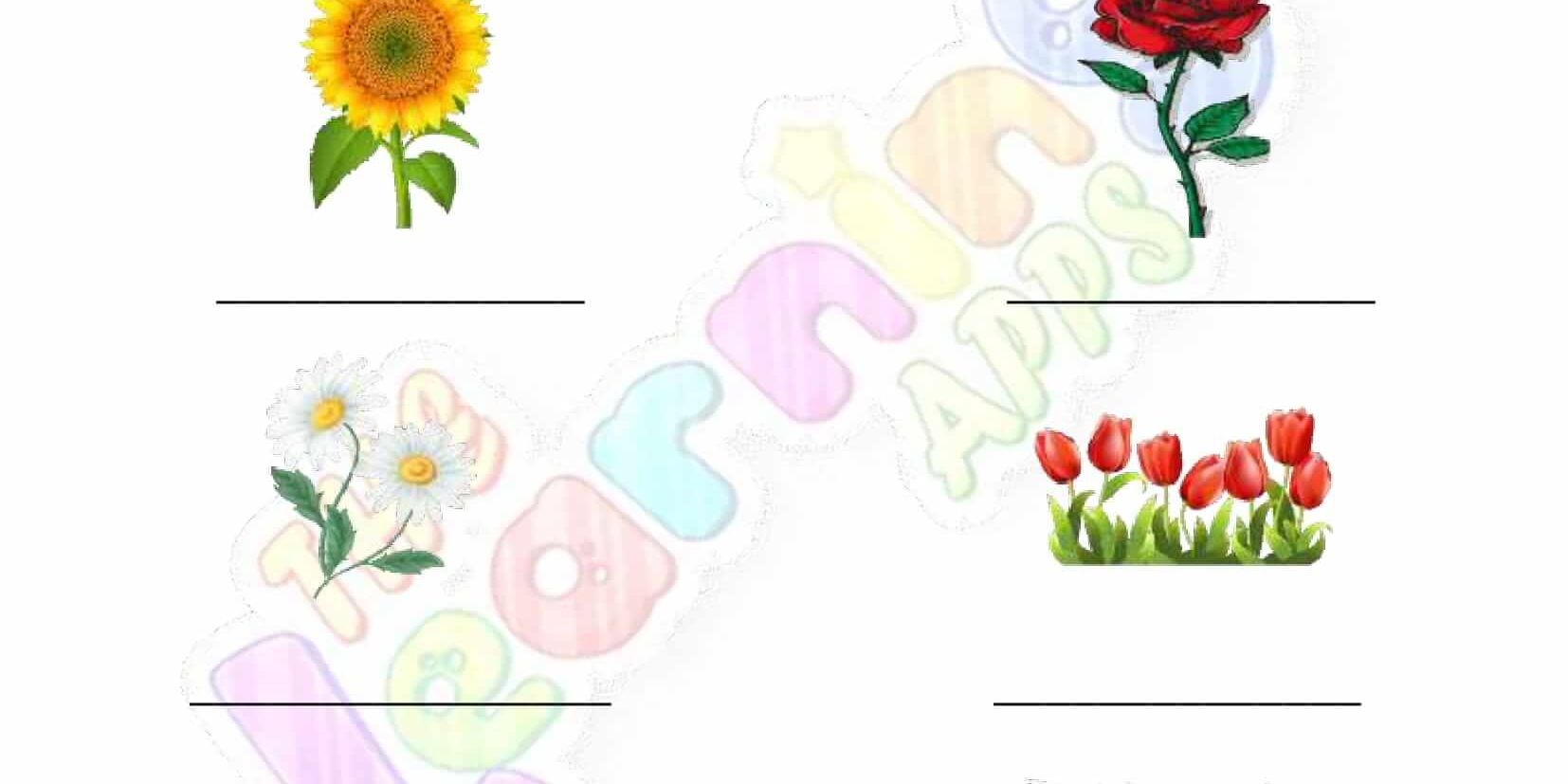 Flowering-and-Non-Flowering-Plants-Worksheets-Grade-3-Activity-5