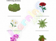 Flowering-and-Non-Flowering-Plants-Worksheets-Grade-3-Activity-6