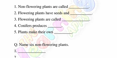 Flowering-and-Non-Flowering-Plants-Worksheets-Grade-3-Activity-8