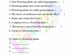 Flowering-and-Non-Flowering-Plants-Worksheets-Grade-3-Activity-9
