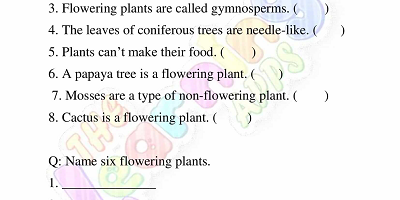 Flowering-and-Non-Flowering-Plants-Worksheets-Grade-3-Activity-9