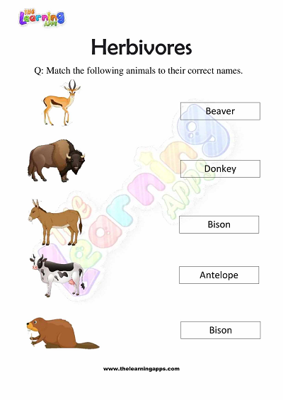 Herbivores-Worksheets-Grade-3-Activity-1