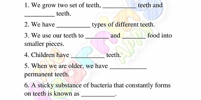 Human-Teeth-Worksheets-Grade-3-Activity-3