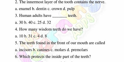 Human-Teeth-Worksheets-Grade-3-Activity-5