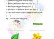 Needs-of-Plants-Worksheets-Grade-3-Activity-3