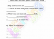 Omnivores-Worksheets-Grade-3-Activity-4