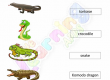 Reptiles-Worksheets-Grade-3-Activity-2