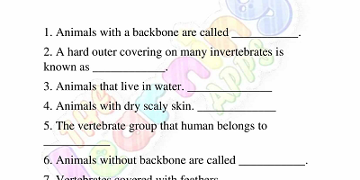 Vertebrates-and-Invertebrates-Worksheets-Grade-3-Activity-1