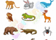Warm-and-Cold-Blooded-Animals-Worksheets-Grade-3-Activity-5