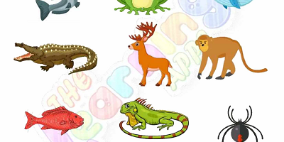 Warm-and-Cold-Blooded-Animals-Worksheets-Grade-3-Activity-6 Warm-and-Cold-Blooded-Animals-Worksheets-Grade-3-Activity-6