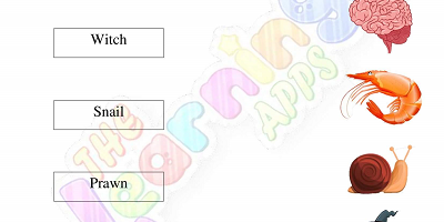 5-Letter-CVC-Words-Worksheets-for-Kindergarten-Activity-6