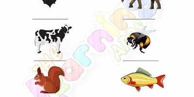 Hibernation-Worksheets-for-Grade-1-Activity-1