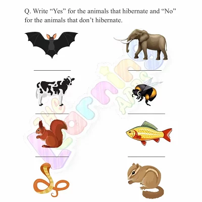 Hibernation-Worksheets-for-Grade-1-Activity-1