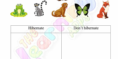 Hibernation-Worksheets-for-Grade-1-Activity-7 Hibernation-Worksheets-for-Grade-1-Activity-7